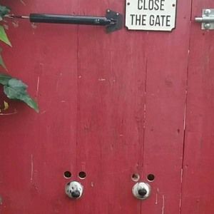 Meet your Posher, Dale